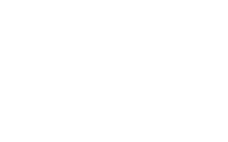 Apparel Production Inc.
